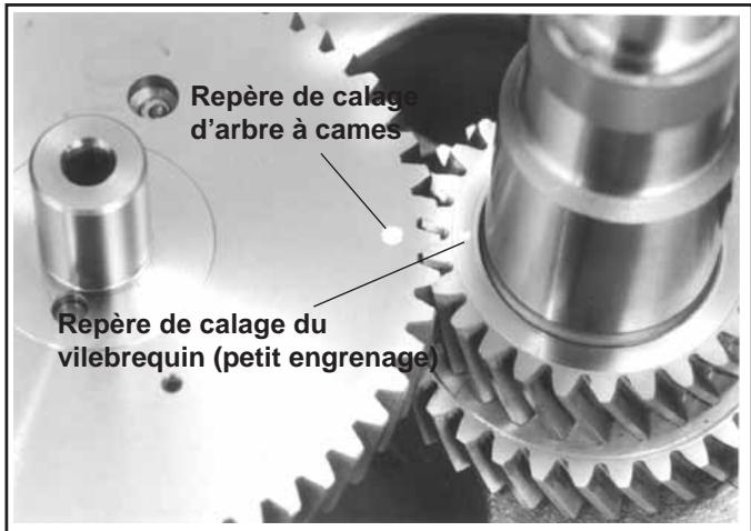 Repère de calage d'arbre à cames Repère de calage du vilebrequin (petit engrenage)