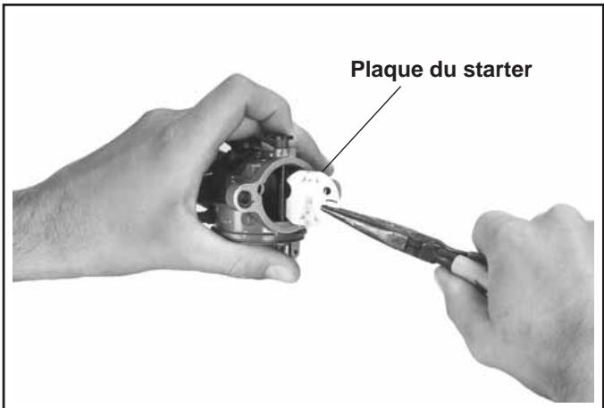 Plaque du starter