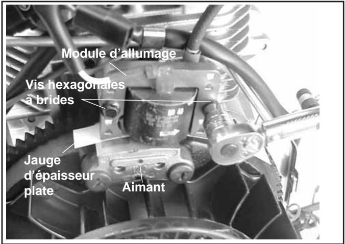 Module d'allumage Vis hexagonales à brides Jauge d'épaisseur plate Aimant
