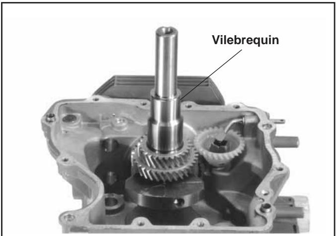 Vilebrequin