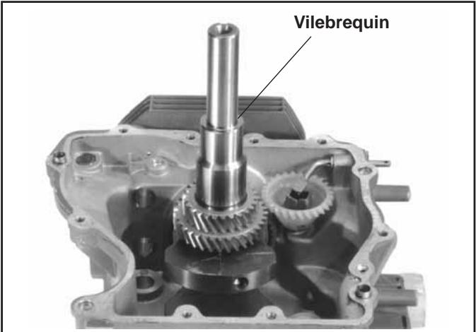 Vilebrequin