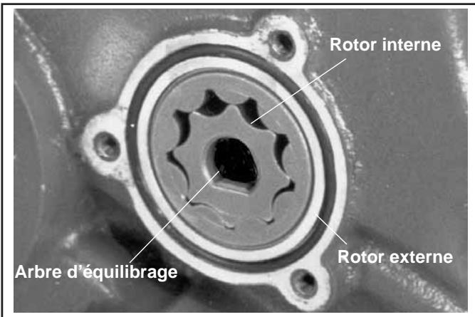 Rotor interne Rotor externe Arbre d'équilibrage