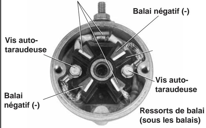 Balai négatif (-) Vis auto- taraudeuse Balai négatif (-) Vis auto- taraudeuse Ressorts de balai (sous les balais)