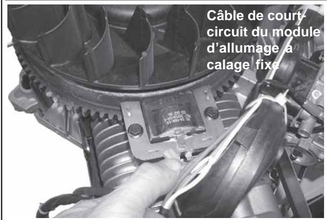 KOHLER CV23 - Dépose des modules d'allumage - 2