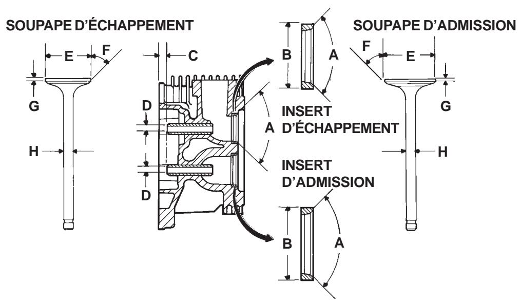KOHLER CV493 - Contrôle et révision - 2