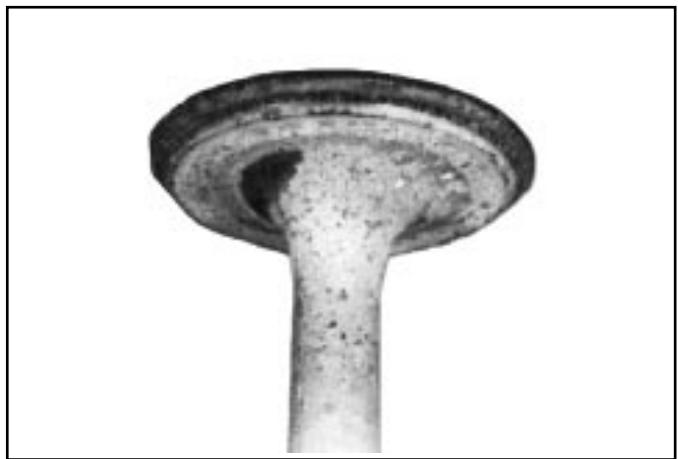 KOHLER SV470 - Contrôle et révision - 2