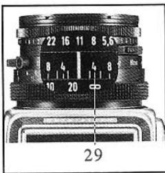 HASSELBLAD SWC M - Photographie en lumière infrarouge - 3