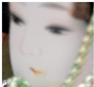 HASSELBLAD H4D-50 - True Focus et Absolute Position Lock - 5