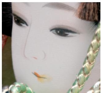 HASSELBLAD H4D-50 - True Focus et Absolute Position Lock - 6