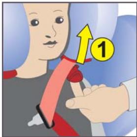 KIDDY COMFORT PRO - Montaje en el vehiculo para el grupo etario II y III - 4