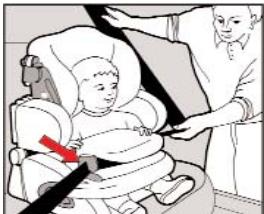 KIDDY LIFE PLUS - Sichern des Kindes mit Fangkorper und Fahrzeugeigenem 3-Punkt-Gurt - 4