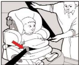 KIDDY LIFE PLUS - Beveiliging van het kind met het vanglichaaam en de 3-punts-autogordel. - 4