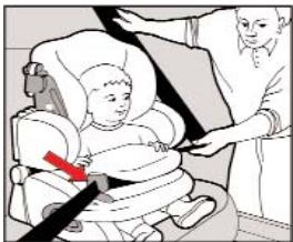 KIDDY LIFE PLUS - Securing the child with the impact shield and vehicle's own 3-point belt - 4