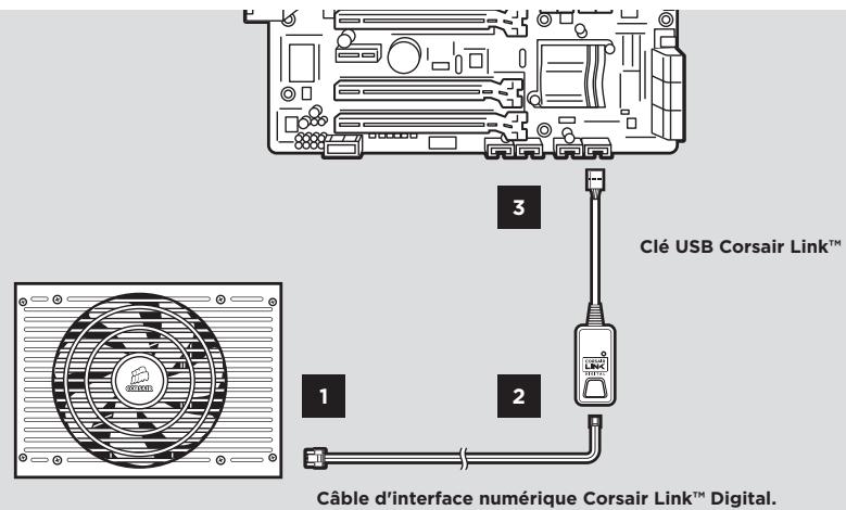Clé USB Corsair Link™ Câble d'interface numérique Corsair Link™ Digital.