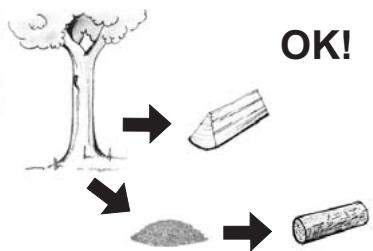 BODART & GONAY BODART & GONAY PHENIX 1150 - Combustible: - 1