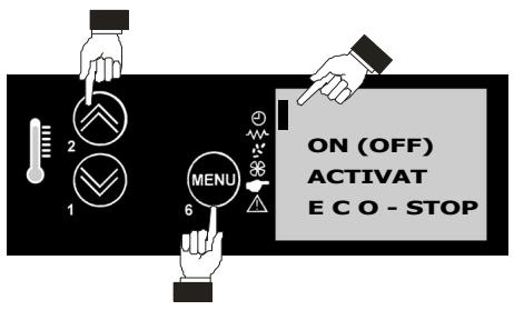 MCZ MERCURY - Programme - 1