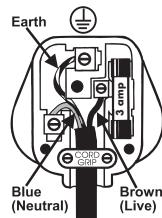 BIONAIRE BASF40LM - WARNING - THIS APPLIANCE MUST BE EARTHED. - 1