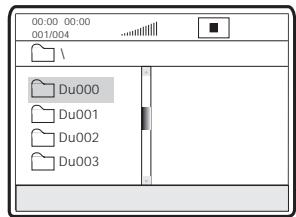 CAMBRIDGE AUDIO DVD80 SERIES - Playing MPEG4 Files - 1
