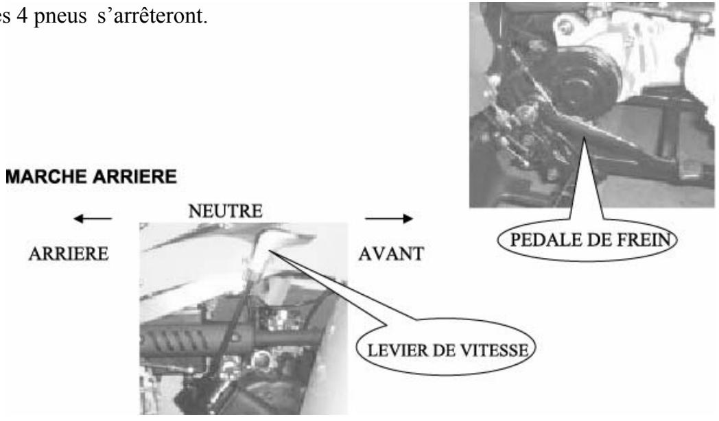 ADLY 150 THUNDERBIKE - Frein AV/AR - 1