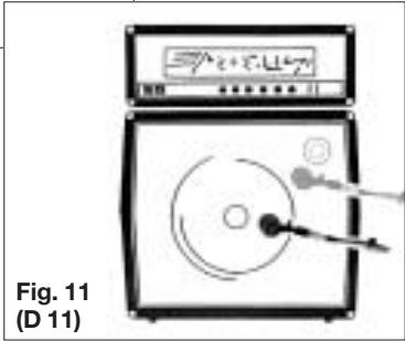 Fig. 11 (D 11)