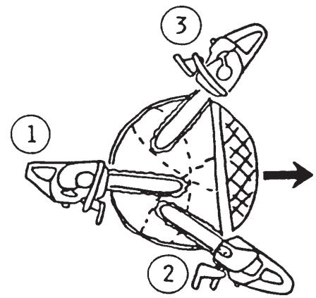 ECHO CS-300 - ABATTAGE D'UN ARBRE - 3