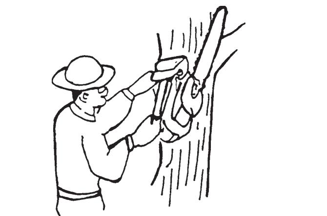 ECHO CS-300 - DANGER - 1