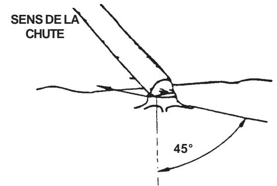 ECHO CS-300 - ABATTAGE D'UN ARBRE - 1