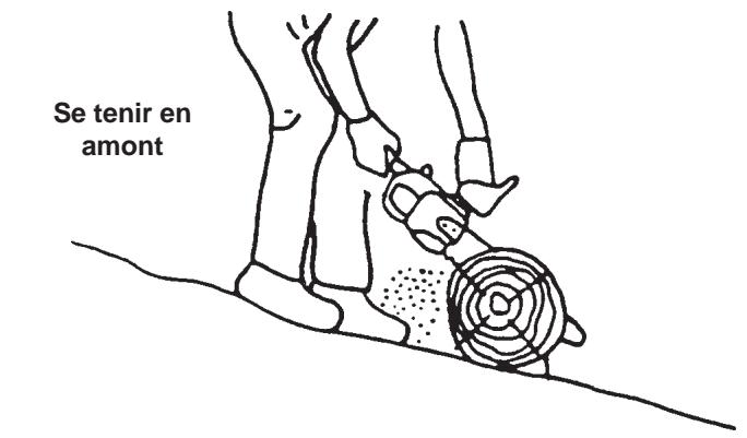 ECHO CS-300 - DANGER - 2