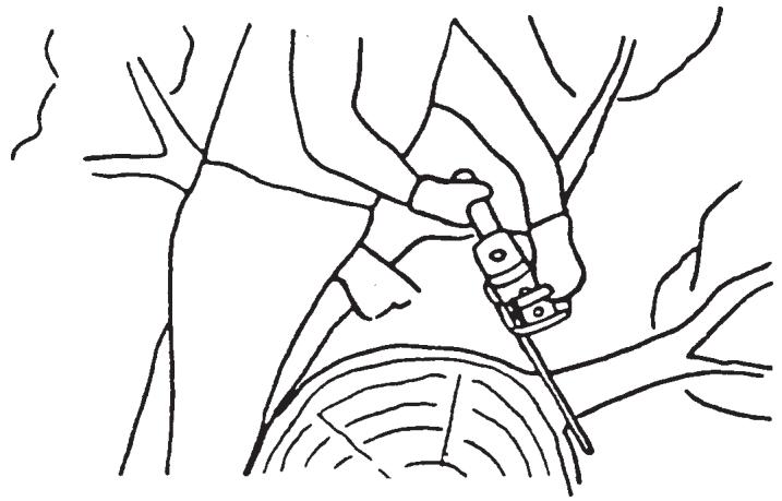 ECHO CS-300 - ÉBRANCHAGE - 1