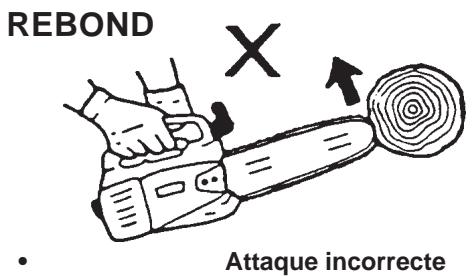 ECHO CS-300 - DANGER - 4