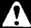 ECHO GT-2400 TYPE 1E - Avertissement DANGER - 2