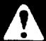 ECHO PB-251 - DANGER - 2