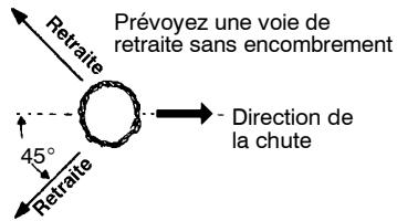 POULAN ES350WT - Techniques d'abattage des arbres - 1