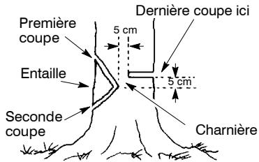 POULAN ES350WT - Coupe d'entaille et abattage de l'arbre - 1