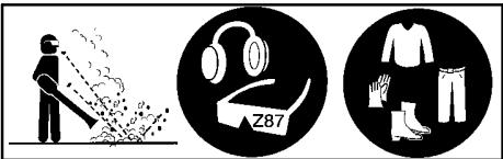 POULAN PBV200LE - 3