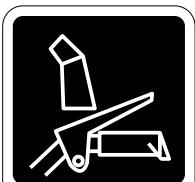 POULAN PRO 961980025 - DANGER - 1