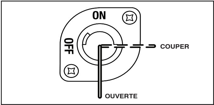 POULAN PRO PP291E30 - (Voir Fig. 11) - 1