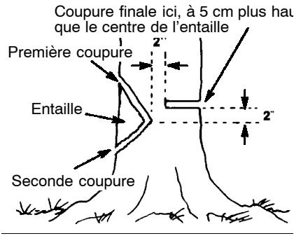 Coupure finale ici, à 5 cm plus haut que le centre de l'entaille Première coupure Entaille Seconde coupure