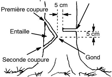 POULAN 2050 - COMMENT FAIRE L'ENTAILLE ET ABATTRE L'ARBRE - 1