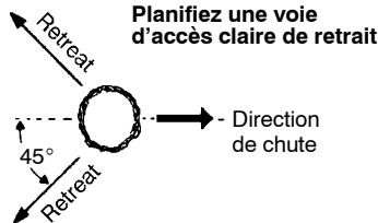 POULAN 2075 - Techniques pour abattre les arbres - 1
