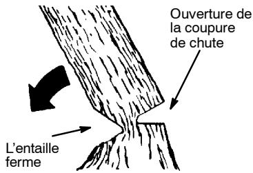 POULAN 2175 - COMMENT FAIRE L'ENTAILLE ET ABATTRE L'ARBRE - 2