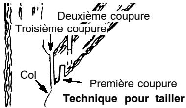 POULAN 2550 - POUR TAILLER - 1