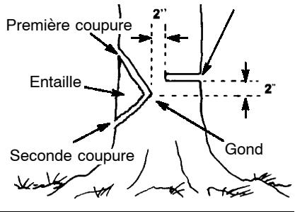 POULAN 2550 - COMMENT FAIRE L'ENTAILLE ET ABATTRE L'ARBRE - 1