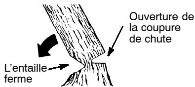 POULAN 2550 - COMMENT FAIRE L'ENTAILLE ET ABATTRE L'ARBRE - 2
