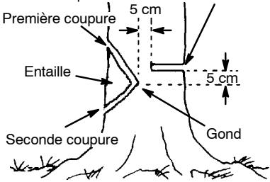 POULAN 2555 - COMMENT FAIRE L'ENTAILLE ET ABATTRE L'ARBRE - 1