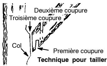 POULAN 2555 - POUR TAILLER - 1