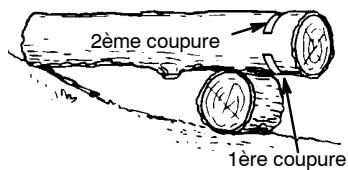 POULAN 2555 - COMMENT TRONÇONNAGE UTILISANT UN RONDIN OU UN CHEVALET - 1