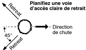 POULAN 2555 - TECHNIQUES POUR ABATTRE LES ARBRES - 1