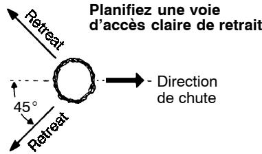 POULAN 3750 - TECHNIQUES POUR ABATTRE LES ARBRES - 1