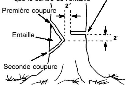 POULAN 3750 - COMMENT FAIRE L'ENTAILLE ET ABATTRE L'ARBRE - 1
